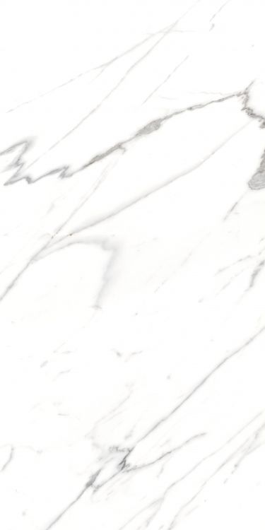 AGL Carrara Polished 24 x 48